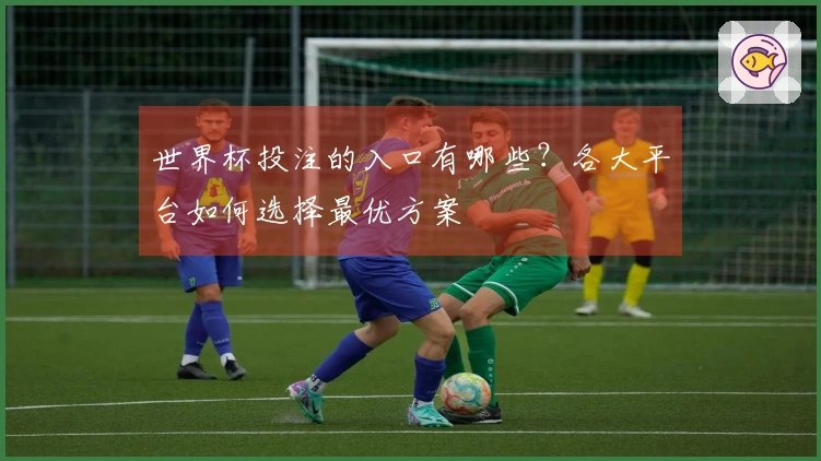 世界杯投注的入口有哪些？各大平台如何选择最优方案