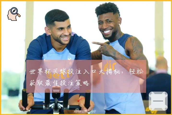 世界杯买球投注入口大揭秘，轻松获取最佳投注策略
