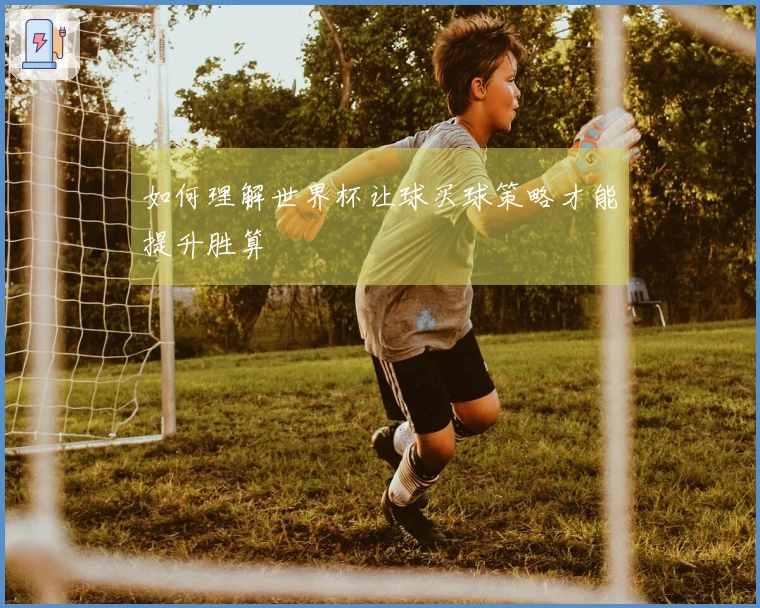如何理解世界杯让球买球策略才能提升胜算