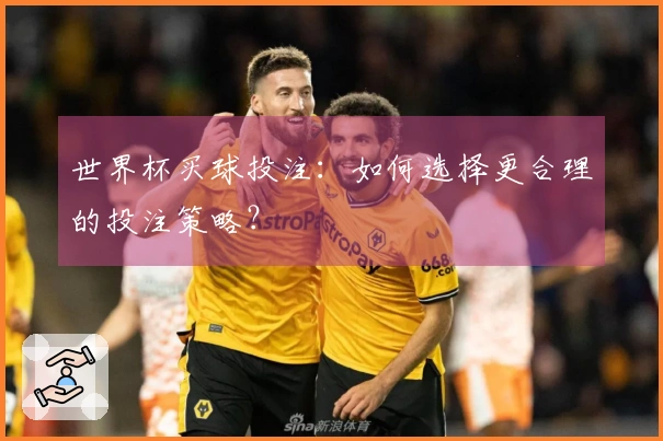 世界杯买球投注：如何选择更合理的投注策略？