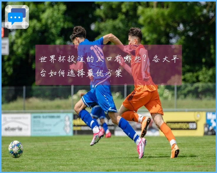 世界杯投注的入口有哪些？各大平台如何选择最优方案