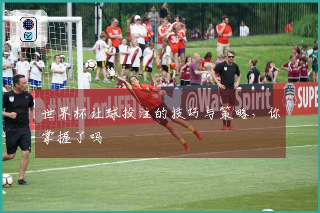 世界杯让球投注的技巧与策略，你掌握了吗